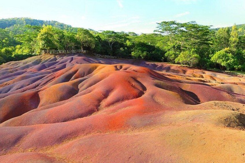 Paisaje con terreno ondulado de tonos rojo y naranja, rodeado de árboles verdes. 1
