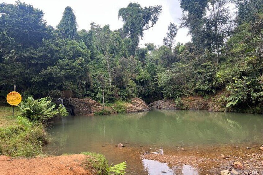 Full-Day Pork Highway Guided Adventure with Lunch in Cayey