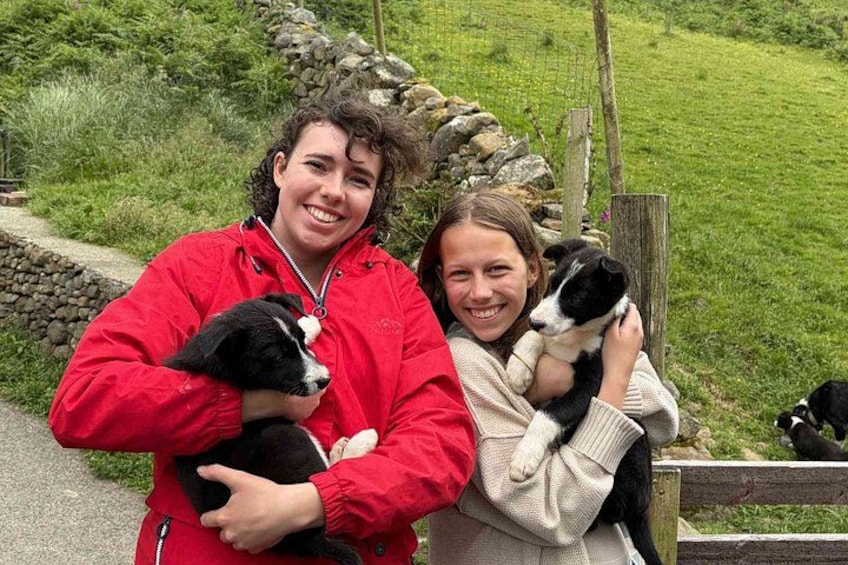 Small Group Kylemore Abbey, Sheepdog Demo & Connemara Tour 2