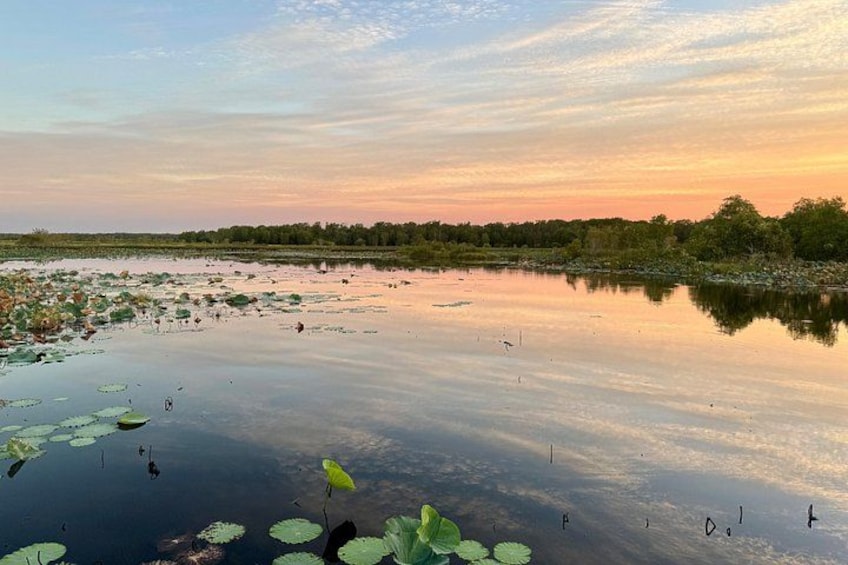 LookAbout Darwin, Wetlands & Wildlife Premium Tour - Max 6 Guests 2