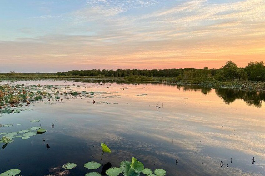 LookAbout Darwin, Wetlands & Wildlife Premium Tour - Max 6 Guests 2