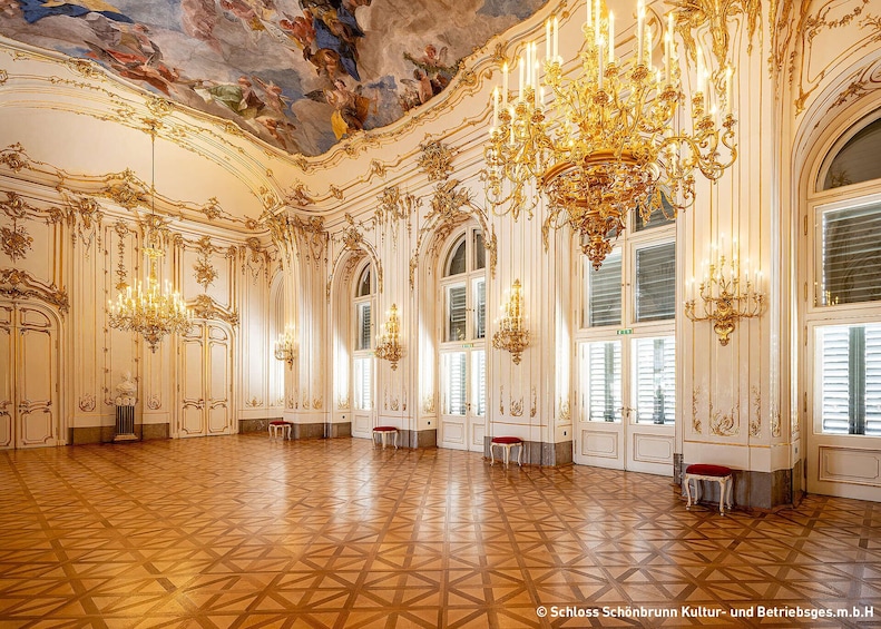 Schönbrunn Palace and Garden Tour 5