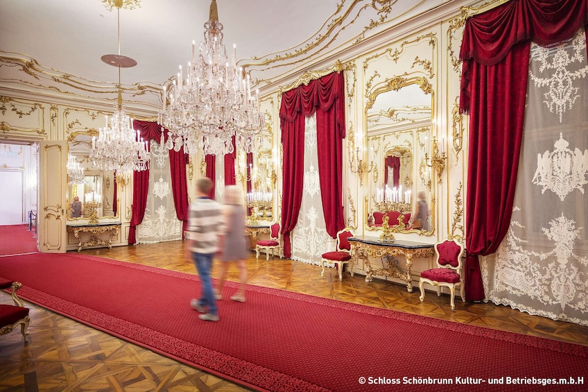 Schönbrunn Palace and Garden Tour 2