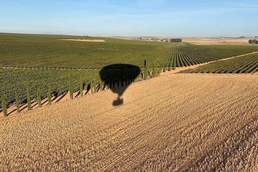Hot Air Balloon in Stellenbosch 4