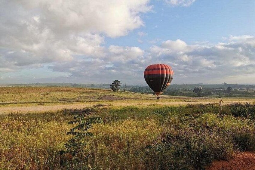 Hot Air Balloon in Stellenbosch 3