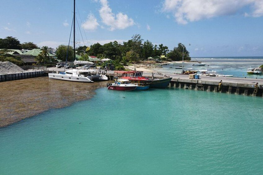 Private Full-Day Tour in Praslin and La Digue 2