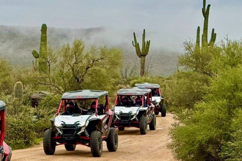 Off-road vehicles on a dirt path surrounded by cacti and desert vegetation. 2