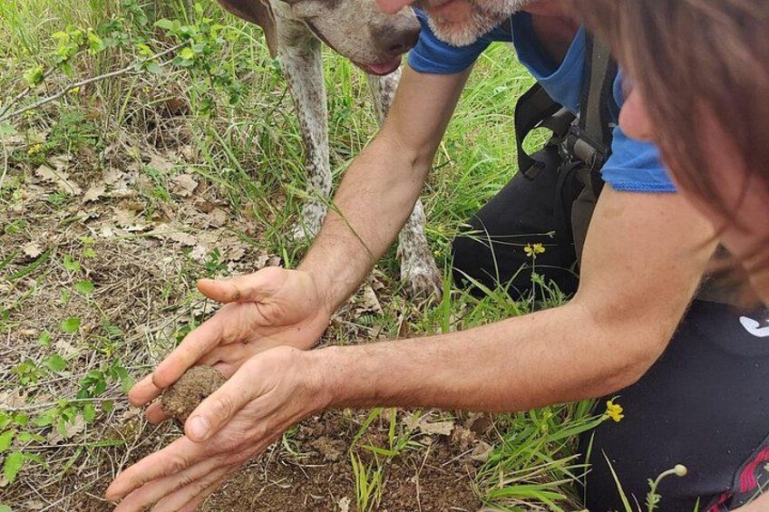 2 hours Private Activity - Truffle hunting in Assisi 2