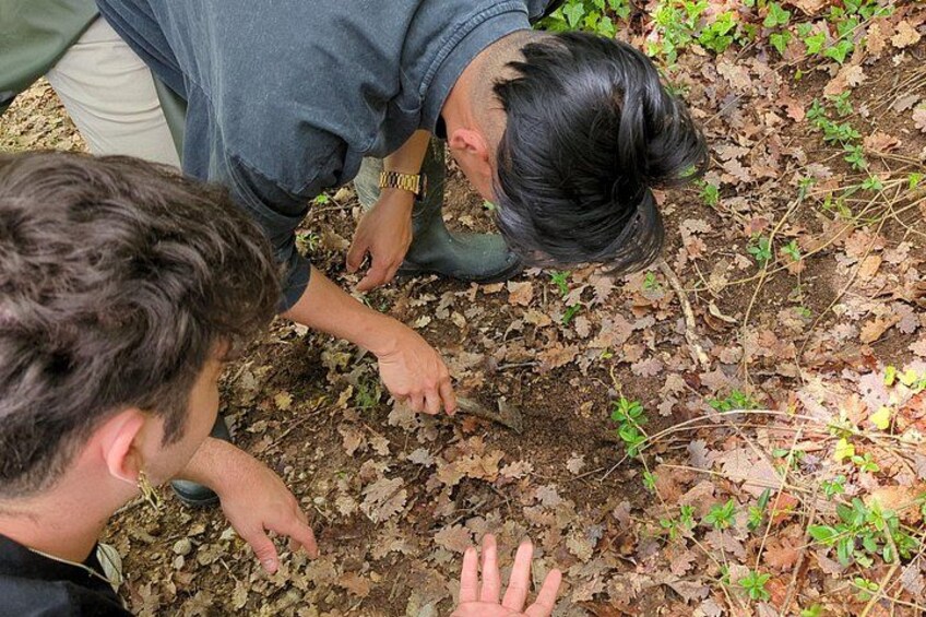 Twee personen bekijken de grond bedekt met bladeren en kleine planten. 1