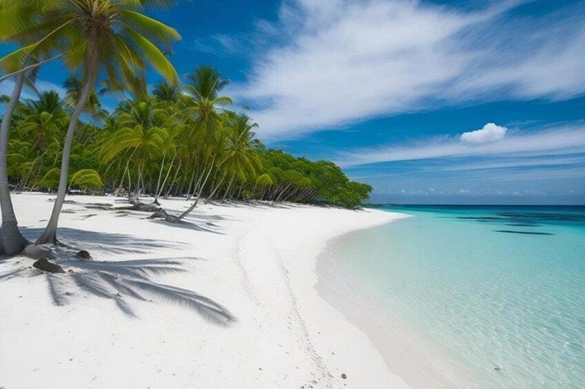 Een wit zandstrand met helder turquoise water, palmbomen en een strakblauwe lucht. 3