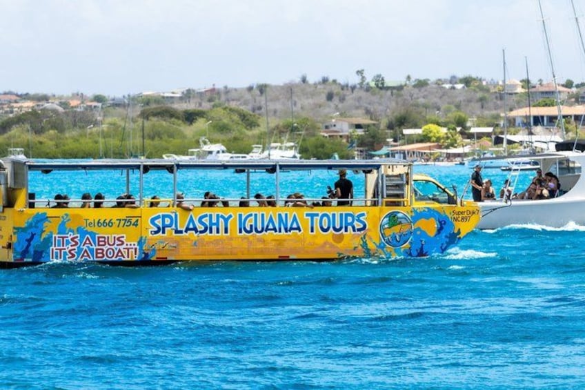 Bus That Drives Into the Ocean Unique Curaçao Amphibious Tour 5