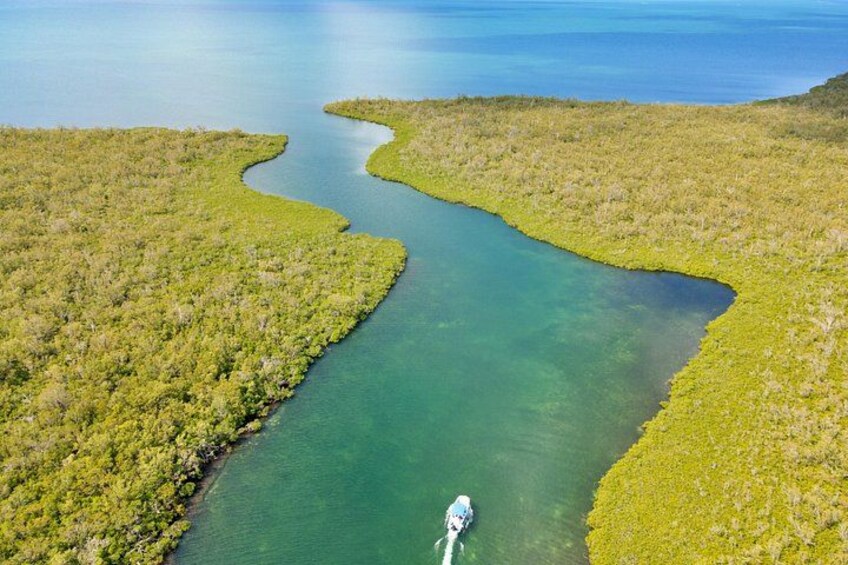 Private, Guided Boat Charters in The Cayman Islands 3