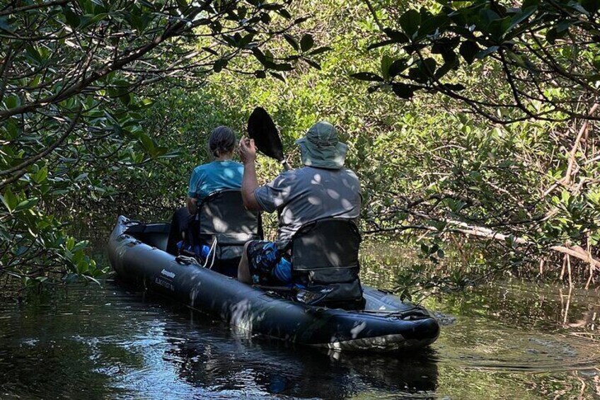 Two people in a raft navigating through a mangrove forest. 5