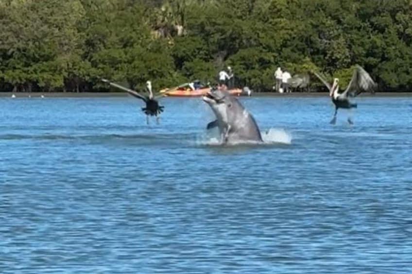 Surprised all of us jumping and catching a fish. 1