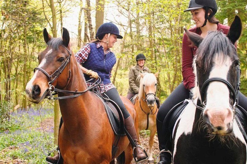 Mexico City: Horseback, ATV & Zipline Forest Adventure 3