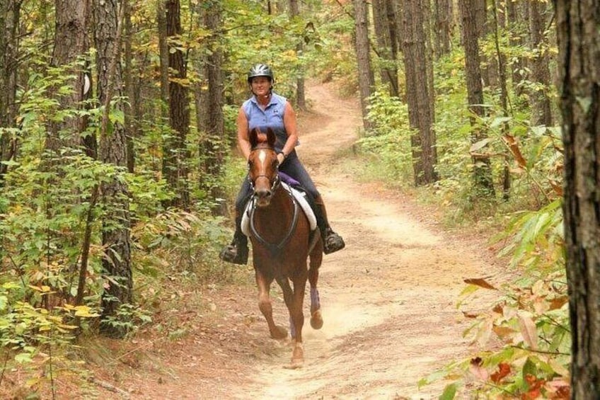 Mexico City: Horseback, ATV & Zipline Forest Adventure 2