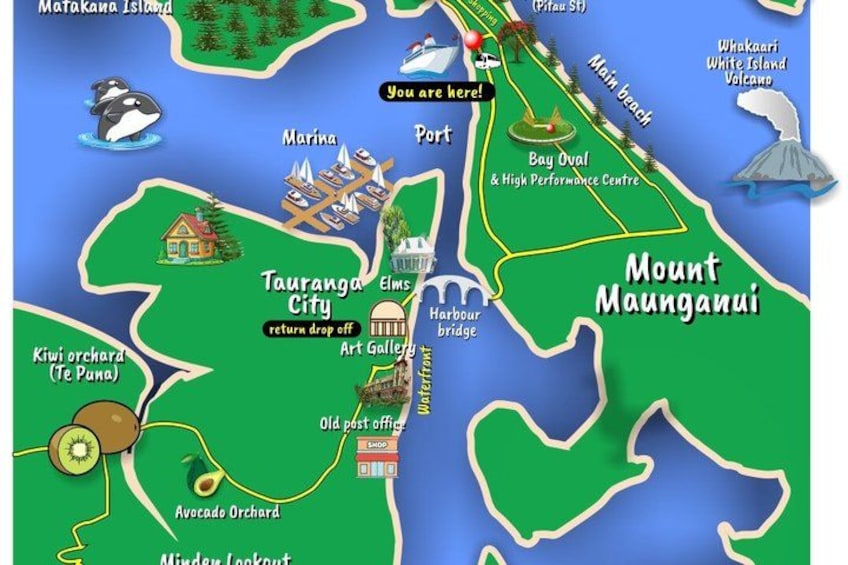 TAURANGA City & Scenic Sightseeing 2-hour Local Bus Tour 1