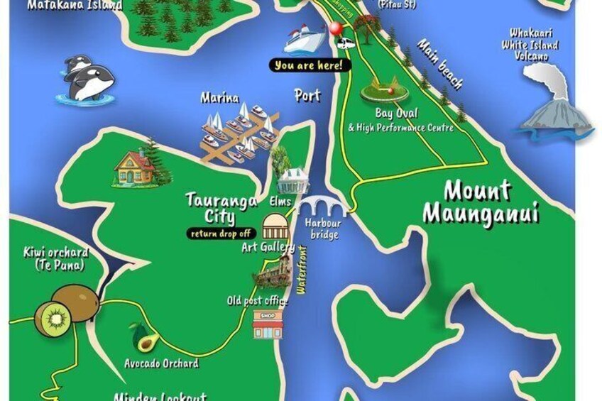 TAURANGA City & Scenic Sightseeing 2-hour Local Bus Tour 1