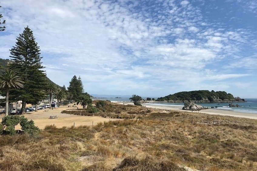 TAURANGA City & Scenic Sightseeing 2-hour Local Bus Tour 5