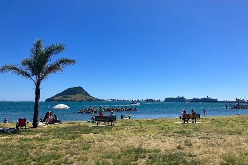 TAURANGA City & Scenic Sightseeing 2-hour Local Bus Tour 2