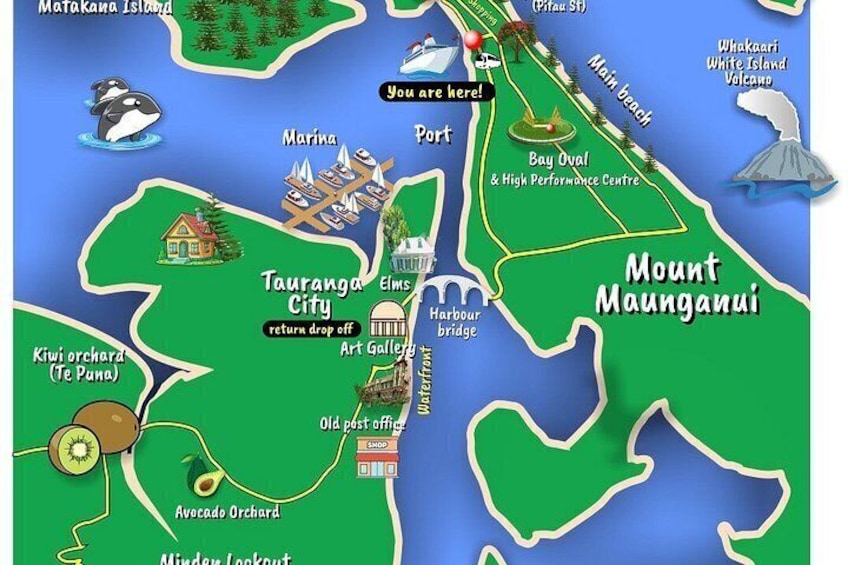 Un mapa de Mount Maunganui que muestra puntos de referencia como el huerto Kiwi, la ciudad de Tauranga y la Galería de Arte. 1