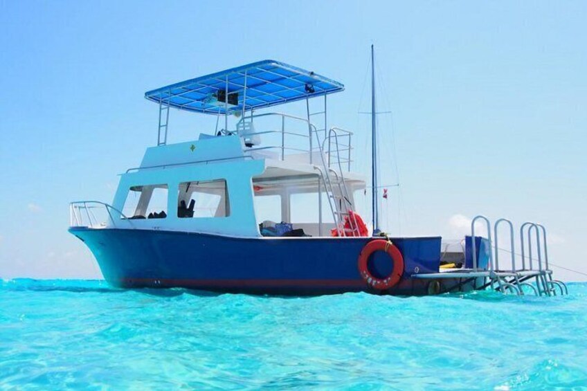 VIP Stingray City Adventure – Just for You 5