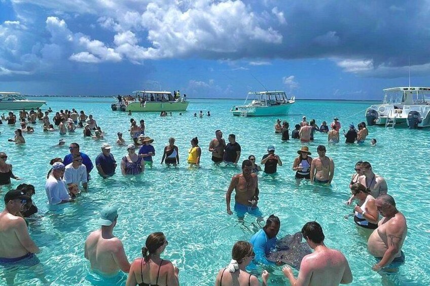 VIP Stingray City Adventure – Just for You 4