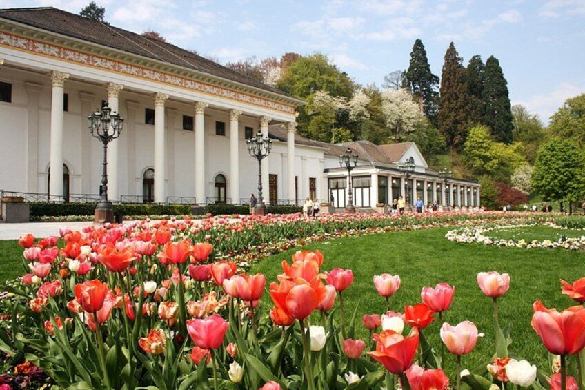 Frankfurt to Black Forest, Baden-Baden, Freiburg and by Car 1