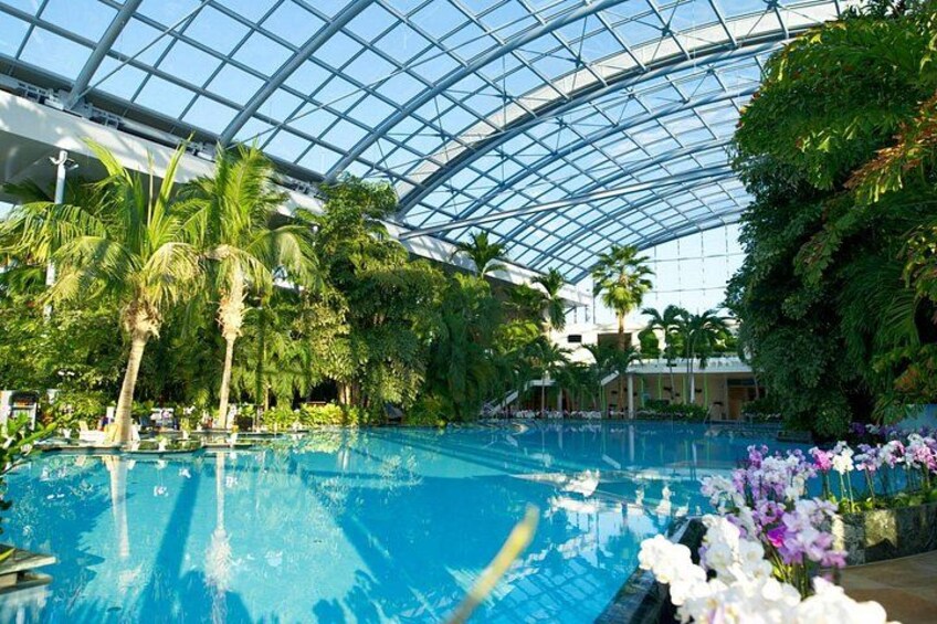 An indoor swimming pool with a glass ceiling, surrounded by tropical plants and flowers. 1
