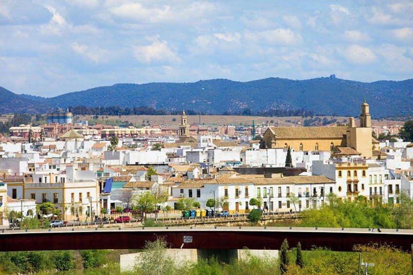 Cordoba Private Custom Walking Tour With A Guide (Private Tour) 3