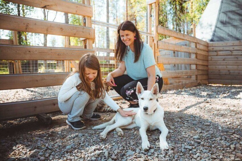 Two people petting a white dog in a fenced outdoor area with gravel ground. 5