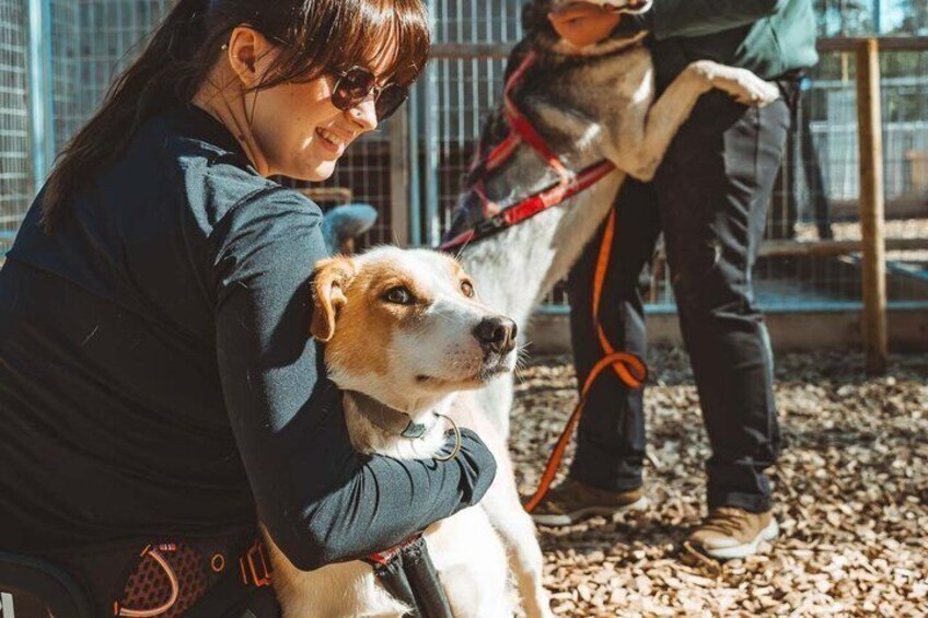 A person holding a dog in an outdoor enclosure with a metal fence. 3