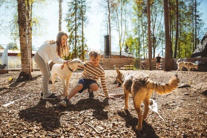 A person interacting with a dog in a wooded area with a fence and trees. 4
