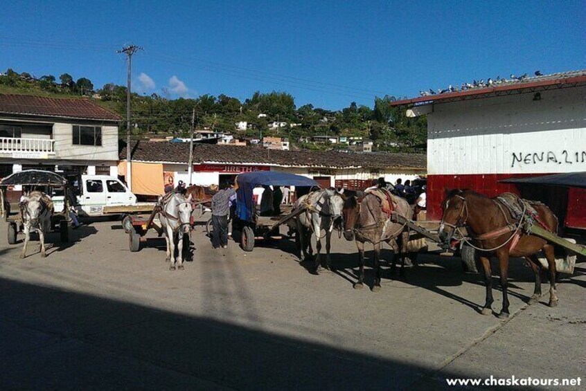 San Agustín with Chaska Tours (City Tour)