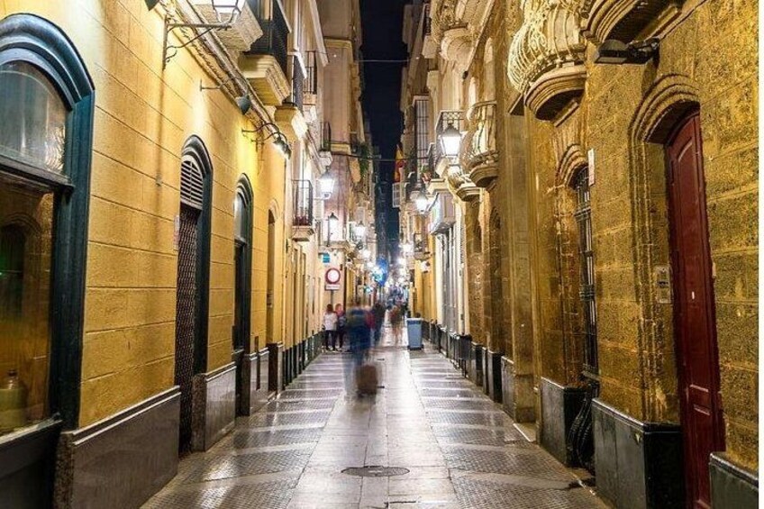 Cadiz : Private Custom Walking Tour With A Local Guide 1