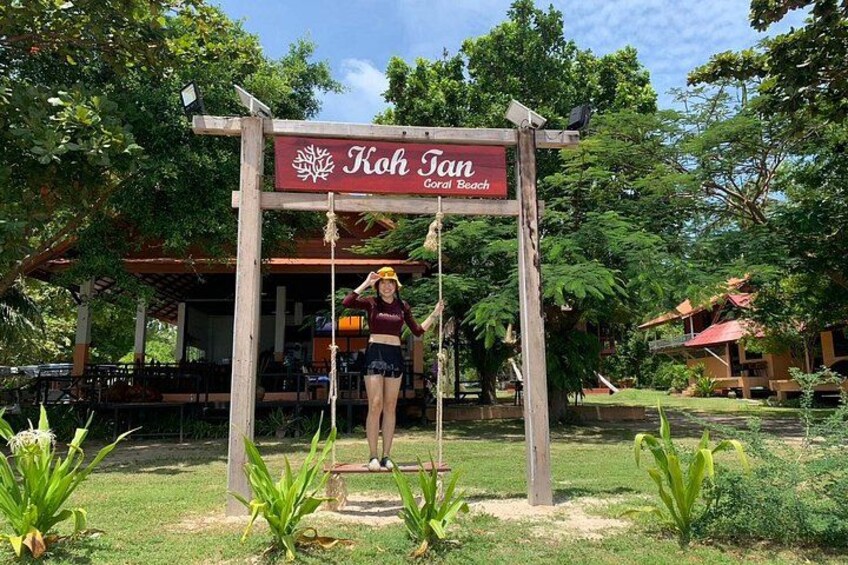 A wooden swing set with a sign reading 'Koh Tan Coral Beach' in a lush, green outdoor setting. 3