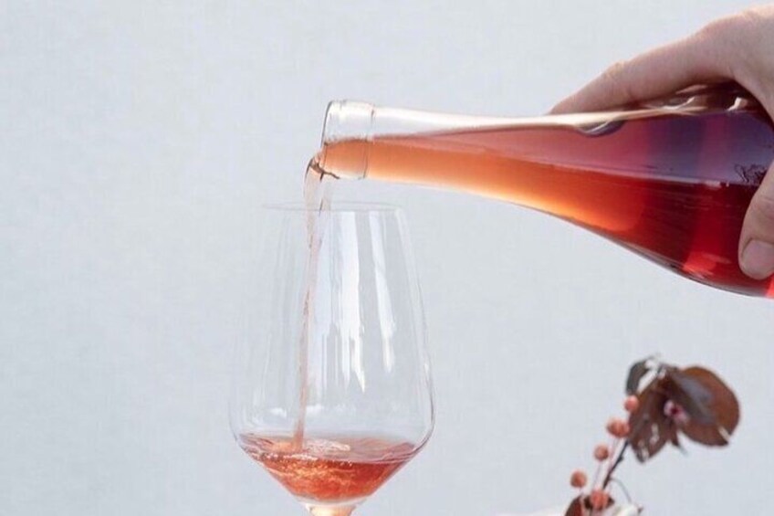 Intro to Wine Tasting with Napa Sommelière  2