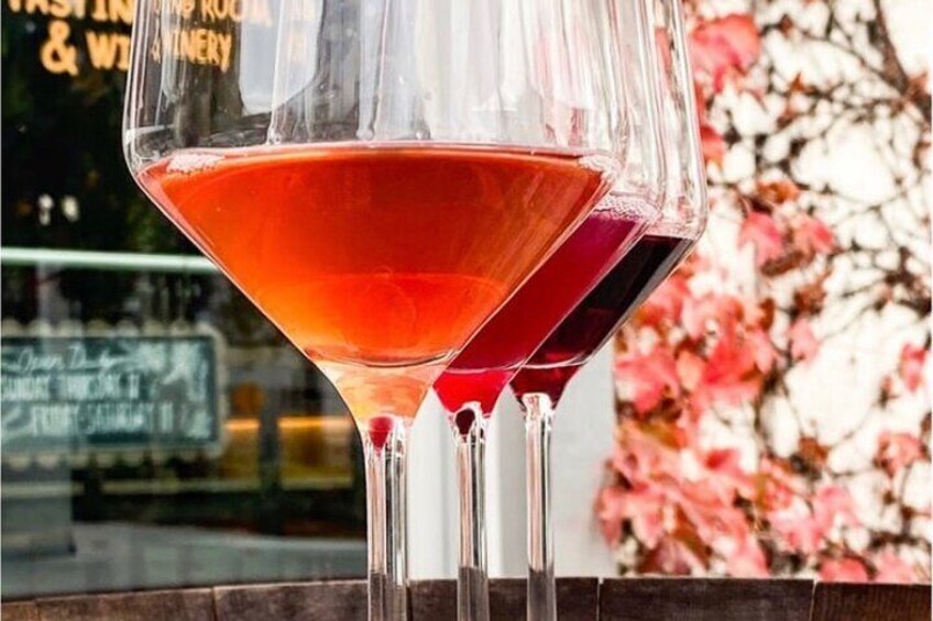 Intro to Wine Tasting with Napa Sommelière  4