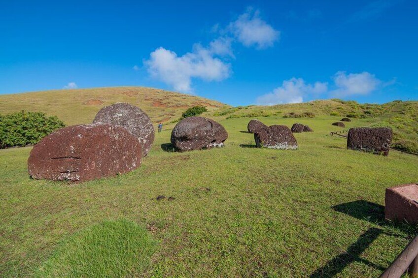 The PUKAOS of PUNA PAU