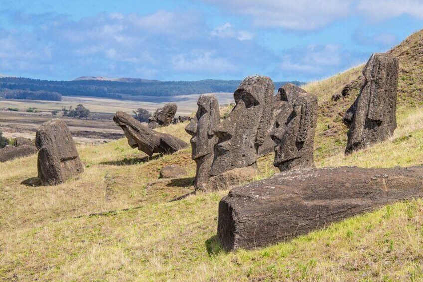 The moai factory has not been touched since the carvers left it hundreds of years ago.