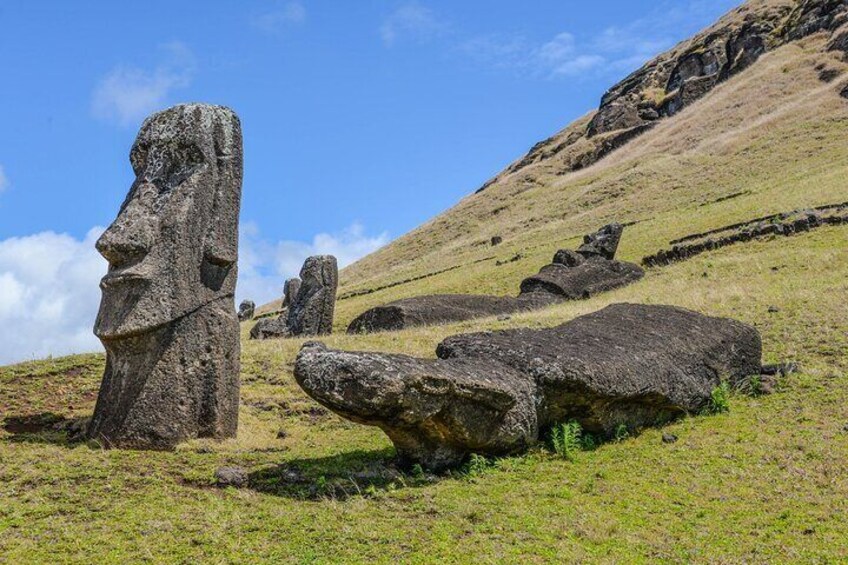 The great quarry Rano Raraku, where almost all the moais were built