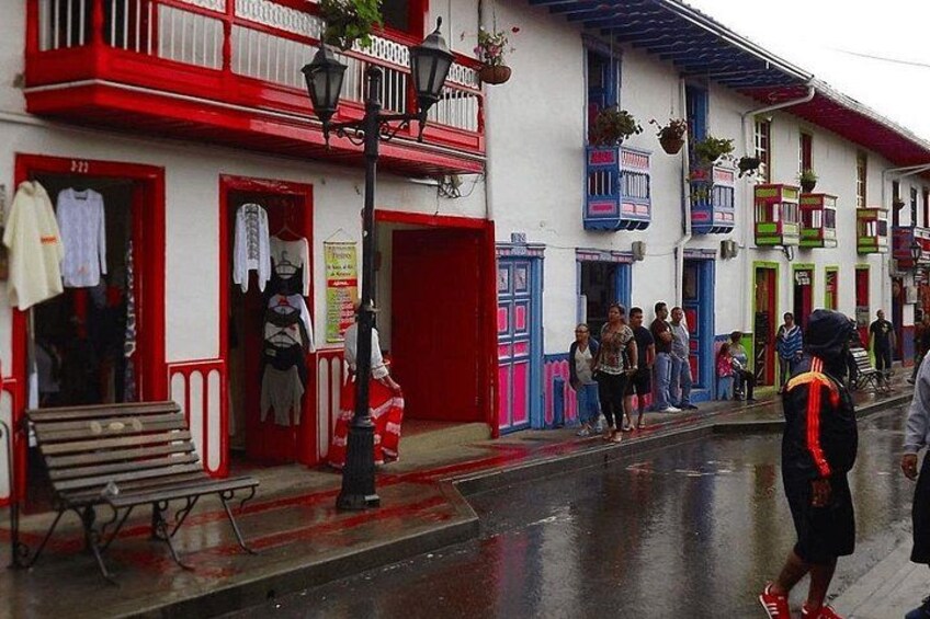 Full Day Private Tour to Valle del Cócora and Salento 4