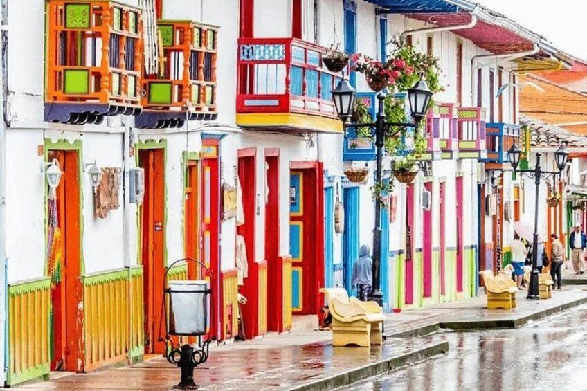 Full Day Private Tour to Valle del Cócora and Salento 3