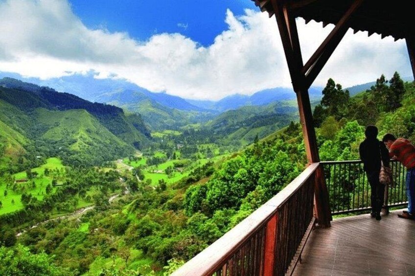 Full Day Private Tour to Valle del Cócora and Salento 5