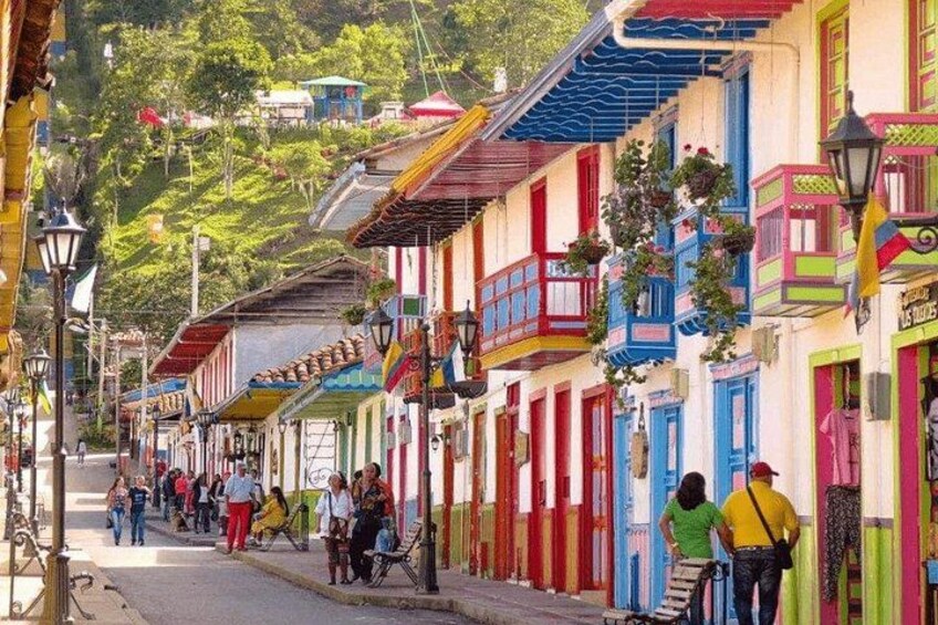 Full Day Private Tour to Valle del Cócora and Salento 2