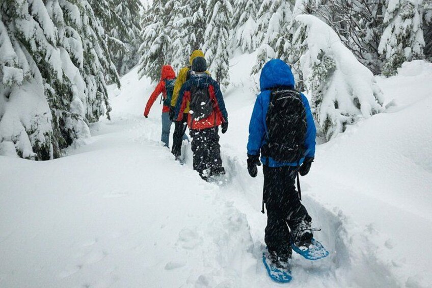 Snowshoeing winter 5