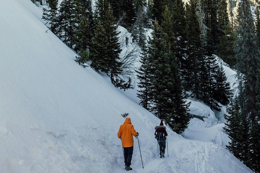 Snowshoeing winter 4