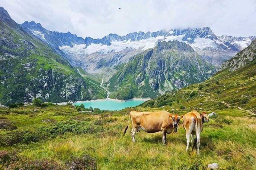 Göscheneralpsee Tour 1