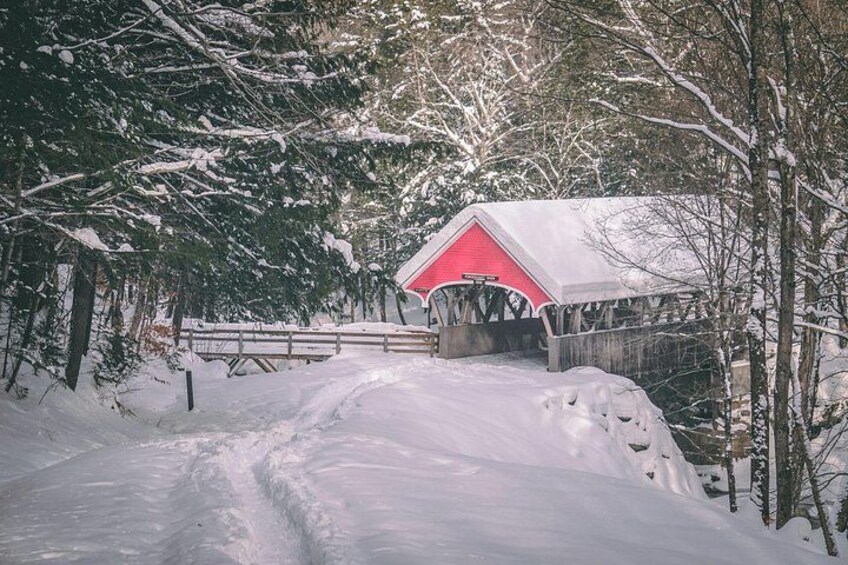Snowshoeing winter 4