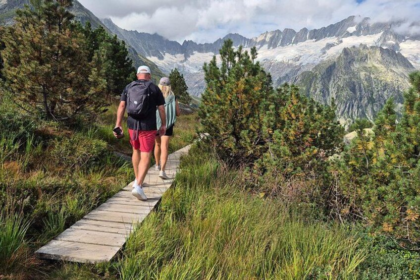 Full-Day Hiking Swiss Alps and Lake swim with Pick-up 3